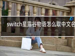 switch星露谷物语怎么取中文名字