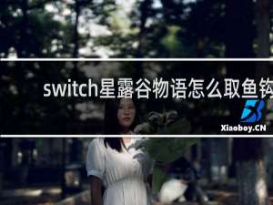 switch星露谷物语怎么取鱼钩