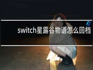 switch星露谷物语怎么回档