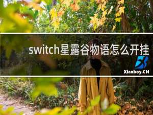 switch星露谷物语怎么开挂
