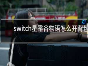 switch星露谷物语怎么开背包