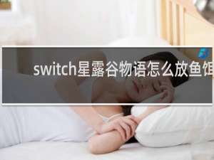 switch星露谷物语怎么放鱼饵