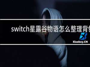 switch星露谷物语怎么整理背包
