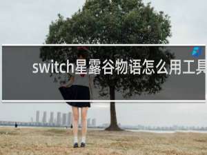 switch星露谷物语怎么用工具