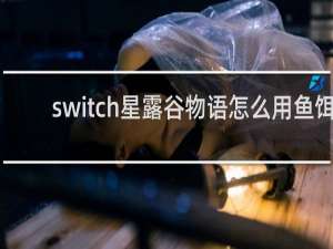 switch星露谷物语怎么用鱼饵