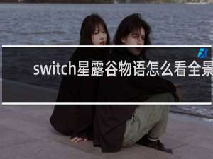 switch星露谷物语怎么看全景