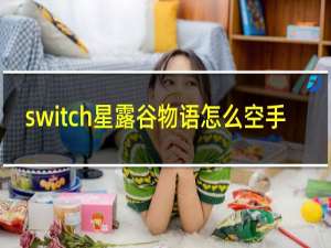 switch星露谷物语怎么空手