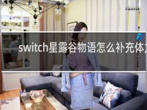 switch星露谷物语怎么补充体力