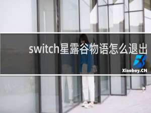 switch星露谷物语怎么退出