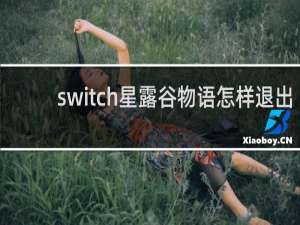 switch星露谷物语怎样退出