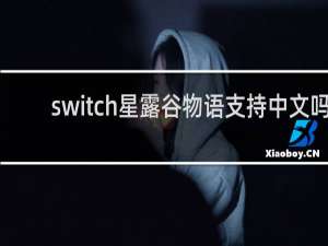 switch星露谷物语支持中文吗