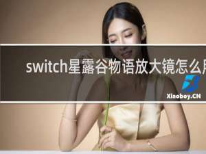 switch星露谷物语放大镜怎么用