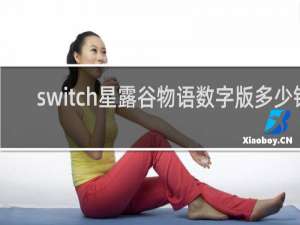 switch星露谷物语数字版多少钱