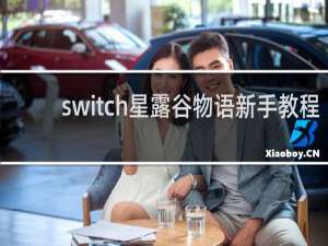 switch星露谷物语新手教程