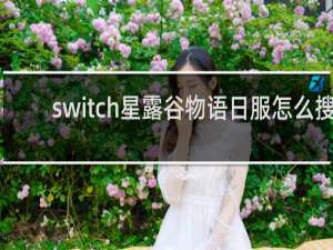 switch星露谷物语日服怎么搜