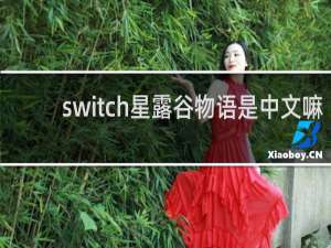 switch星露谷物语是中文嘛