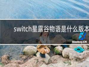 switch星露谷物语是什么版本