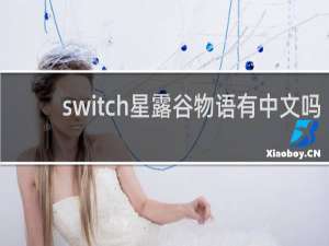 switch星露谷物语有中文吗