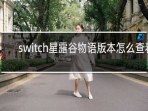 switch星露谷物语版本怎么查看