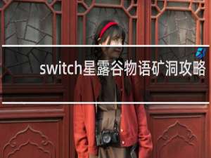 switch星露谷物语矿洞攻略