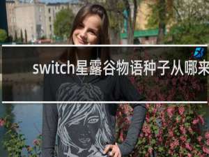 switch星露谷物语种子从哪来
