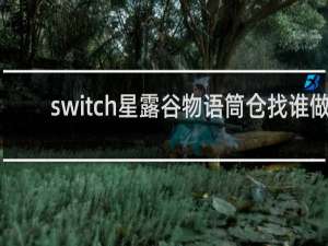 switch星露谷物语筒仓找谁做