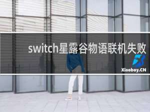 switch星露谷物语联机失败