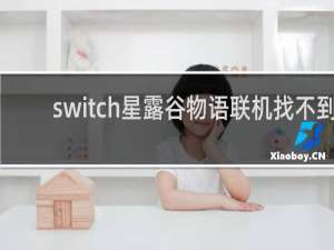 switch星露谷物语联机找不到