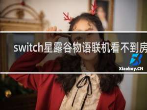 switch星露谷物语联机看不到房间