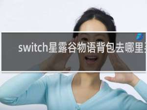 switch星露谷物语背包去哪里买