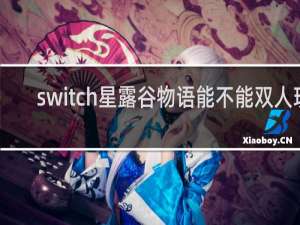switch星露谷物语能不能双人玩