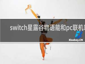switch星露谷物语能和pc联机吗