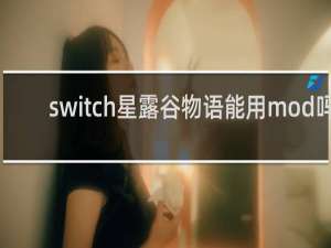 switch星露谷物语能用mod吗