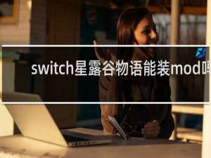 switch星露谷物语能装mod吗