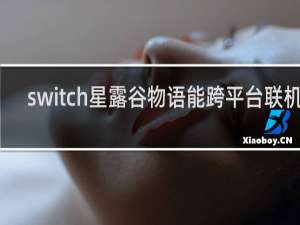 switch星露谷物语能跨平台联机吗