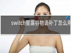 switch星露谷物语补丁怎么用