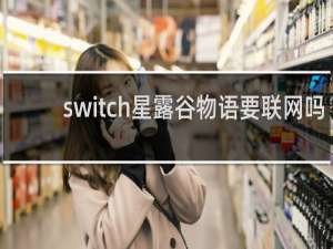 switch星露谷物语要联网吗