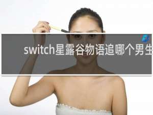 switch星露谷物语追哪个男生