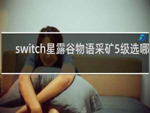switch星露谷物语采矿5级选哪个