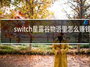 switch星露谷物语里怎么赚钱