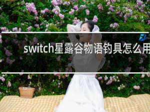 switch星露谷物语钓具怎么用