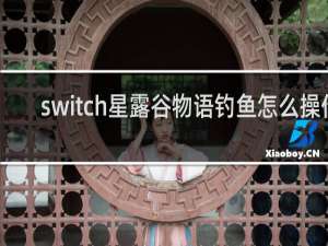 switch星露谷物语钓鱼怎么操作