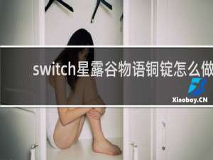 switch星露谷物语铜锭怎么做