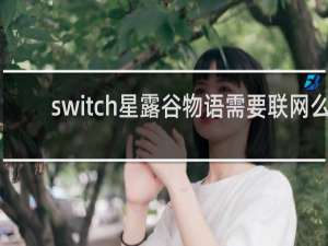 switch星露谷物语需要联网么