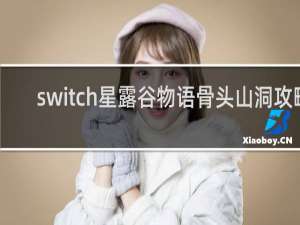 switch星露谷物语骨头山洞攻略