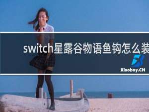 switch星露谷物语鱼钩怎么装
