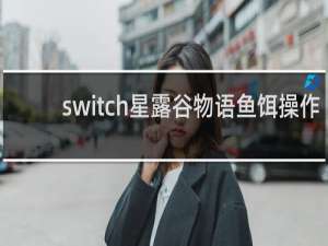 switch星露谷物语鱼饵操作