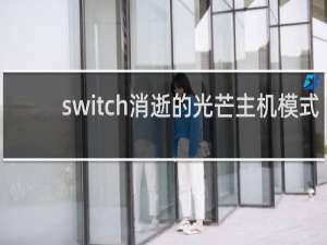 switch消逝的光芒主机模式