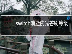 switch消逝的光芒刷等级