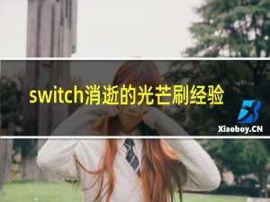 switch消逝的光芒刷经验